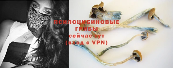 спайс Алзамай