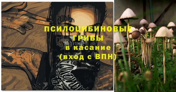 прущий лед Алексеевка