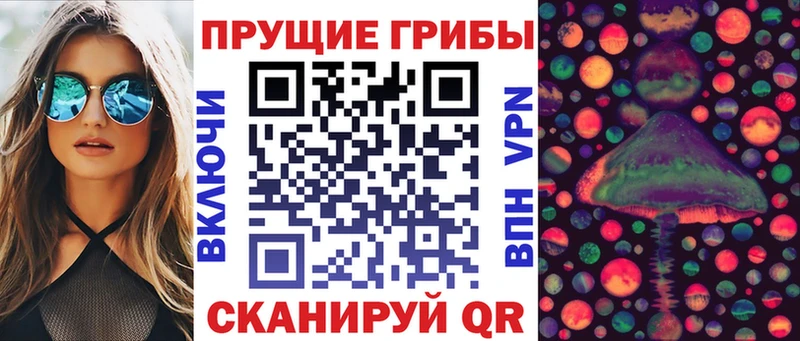 blacksprut ссылки  Буй  Псилоцибиновые грибы ЛСД  купить закладку 